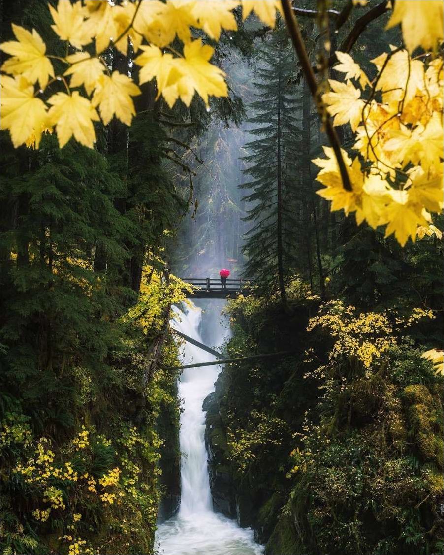 фото приколы