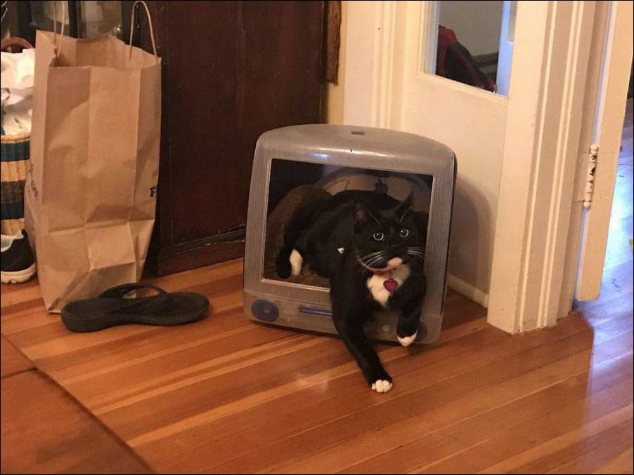 фото приколы