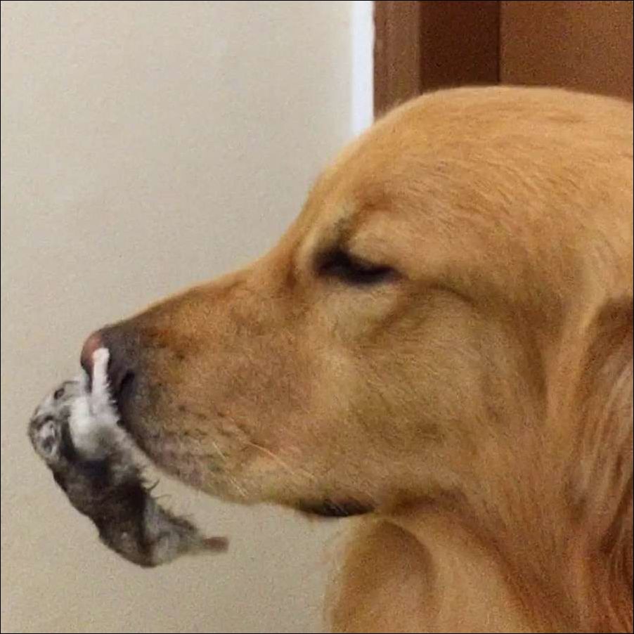 фото приколы