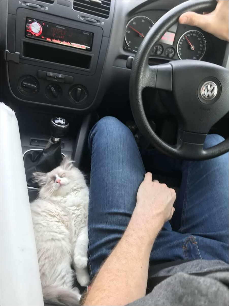 фото приколы