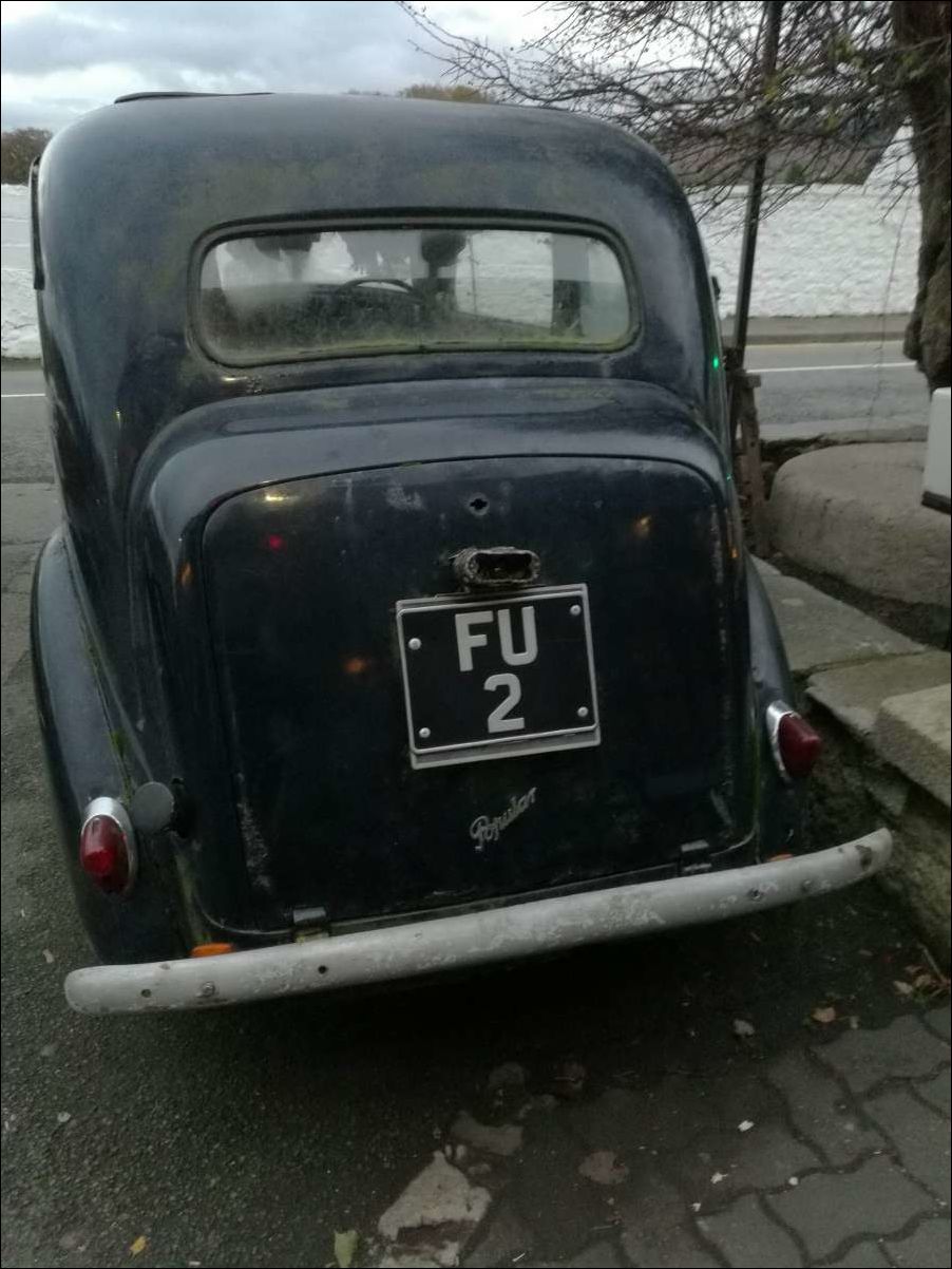 фото приколы