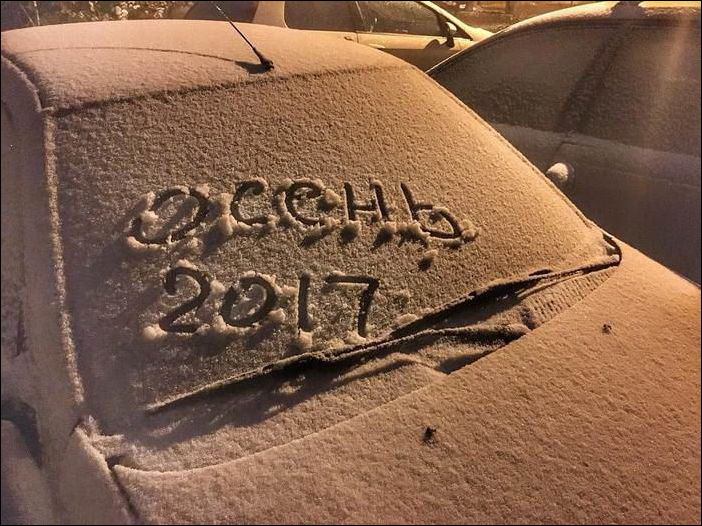 фото приколы