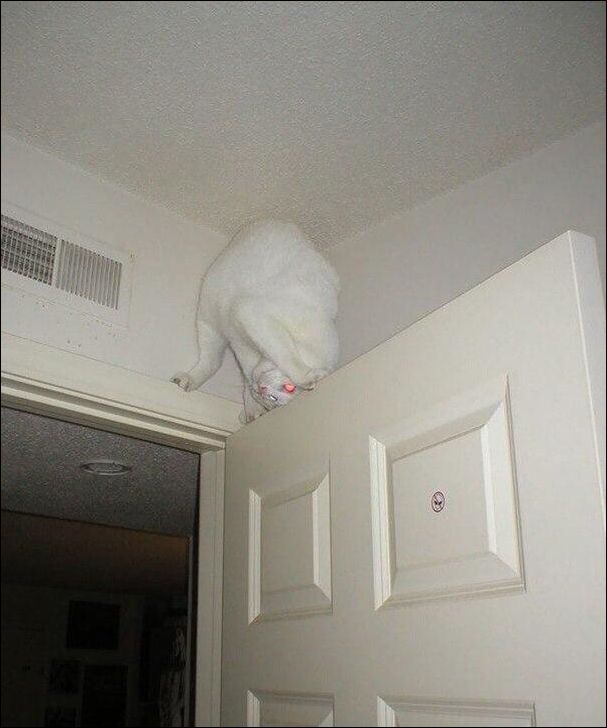 фото приколы