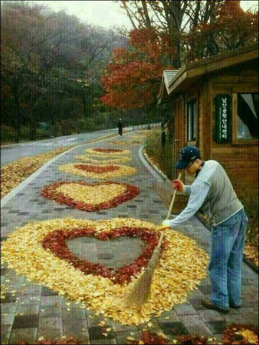 фото приколы