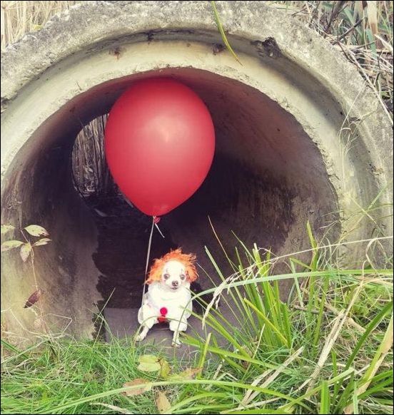 фото приколы