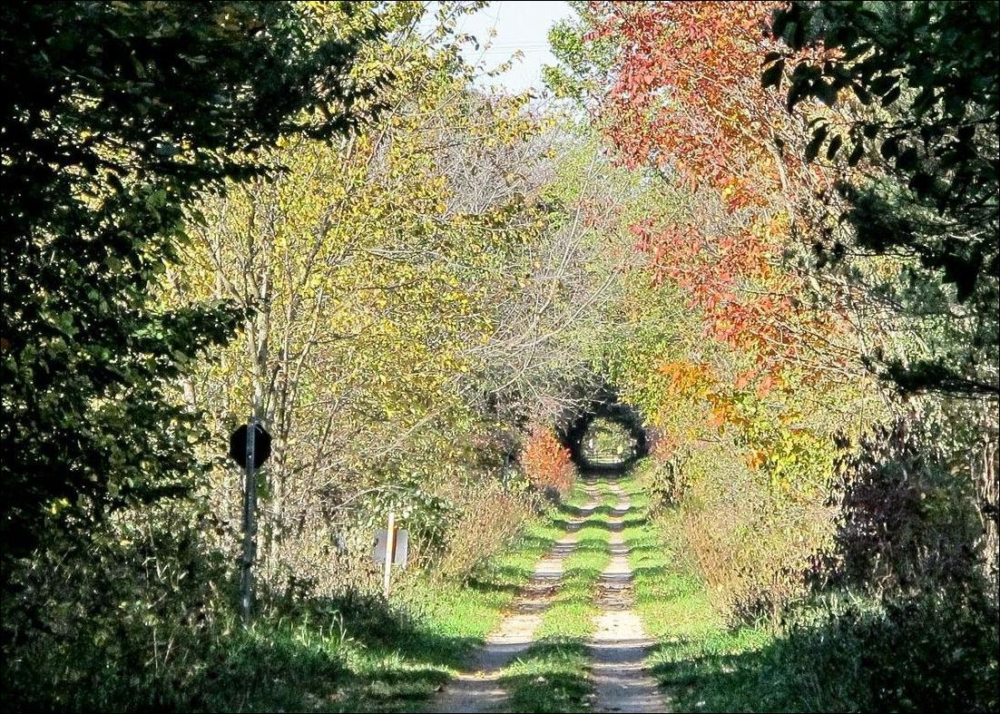 фото приколы