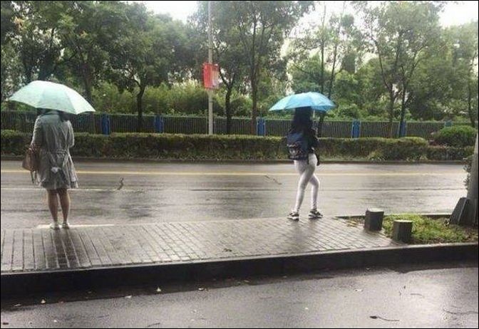 фото приколы