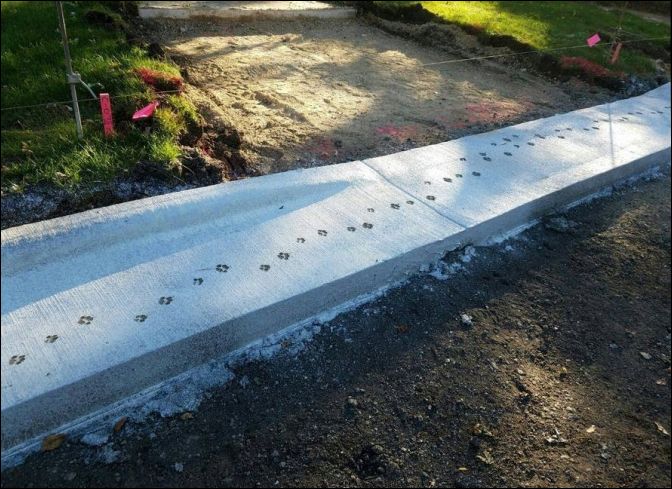 фото приколы