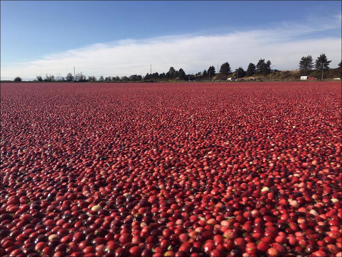 фото приколы