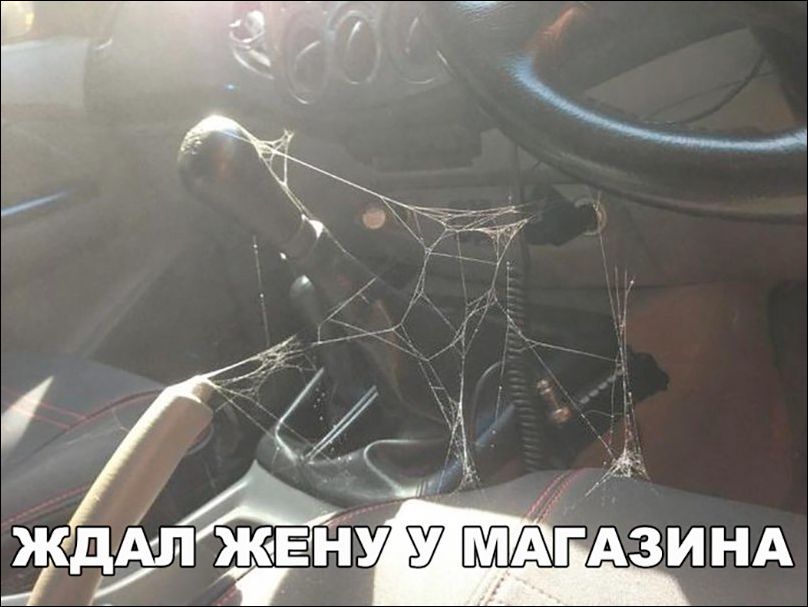 прикольные картинки