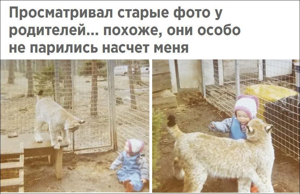 прикольные картинки
