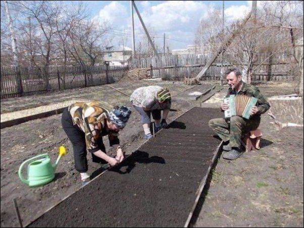 картинки из России