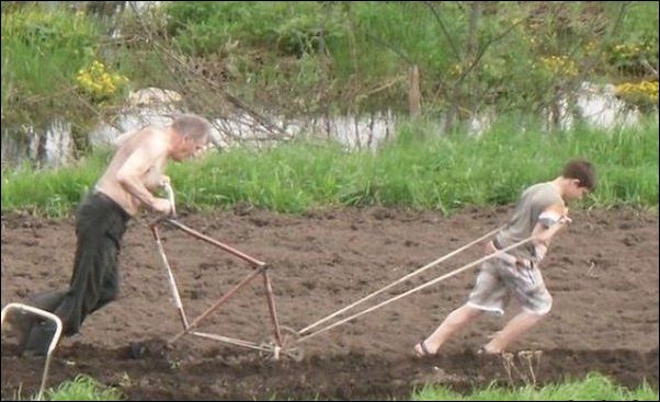 картинки из России