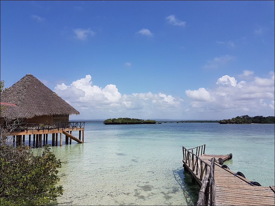 фото приколы