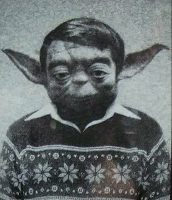 фото приколы