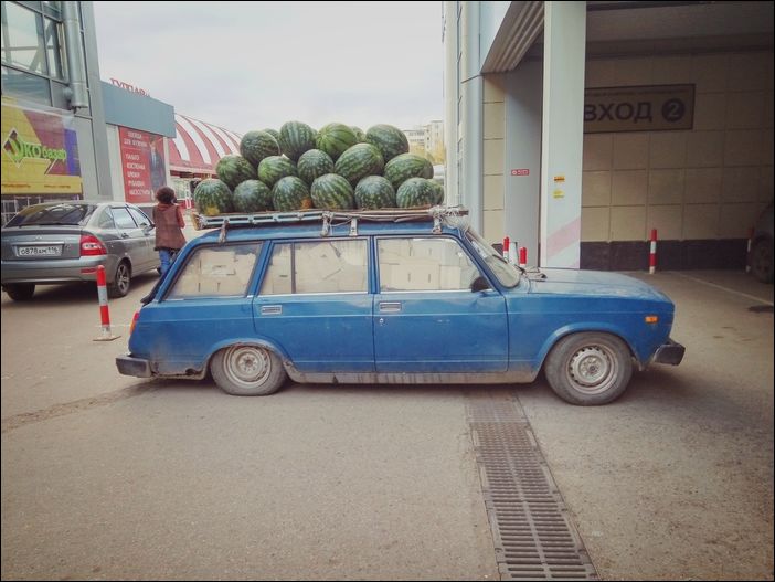 фото приколы