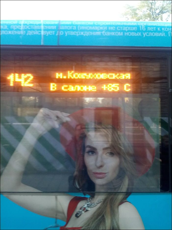 фото приколы