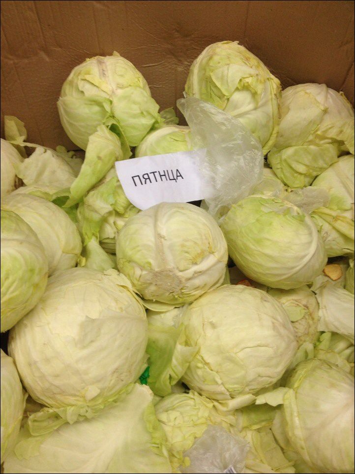 фото приколы