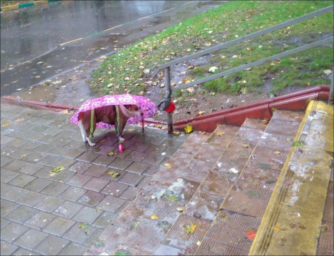 фото приколы