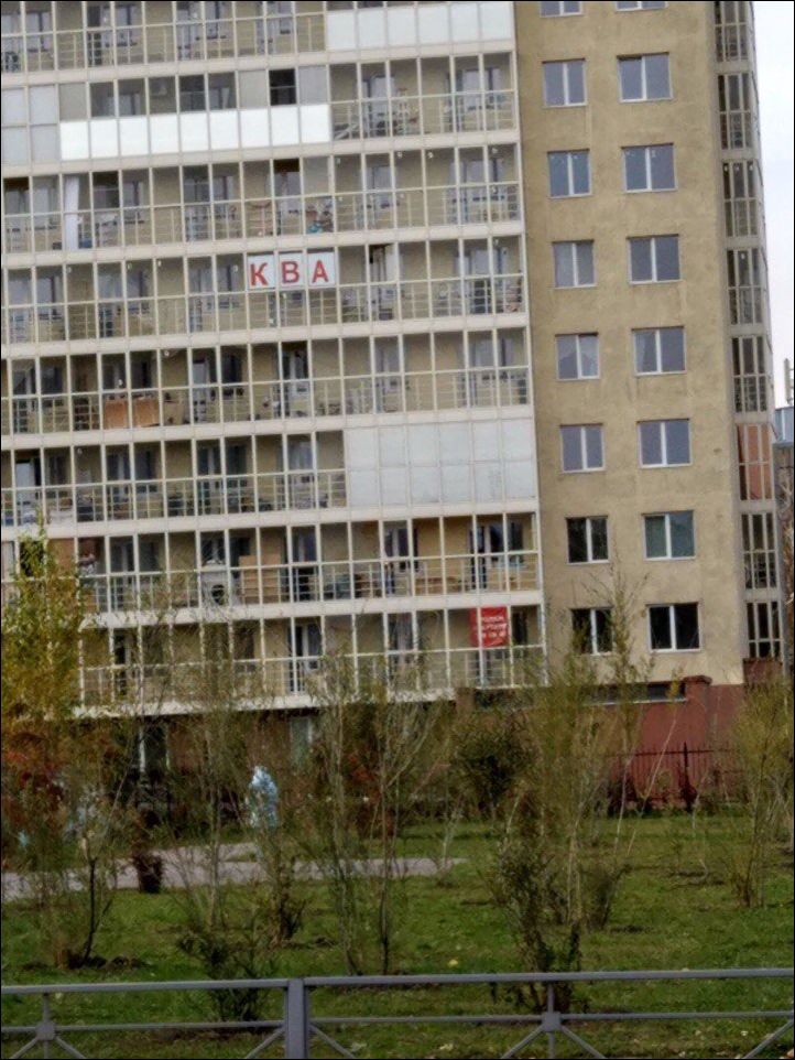 фото приколы