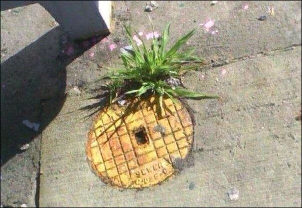 фото приколы