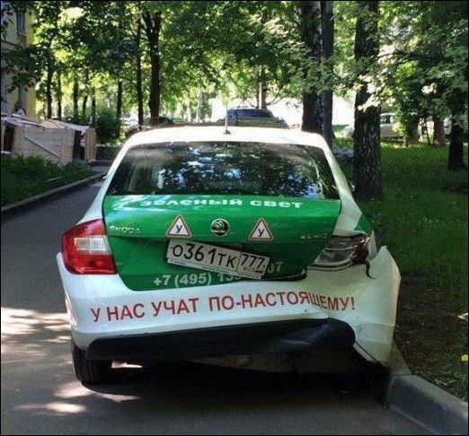 фото приколы