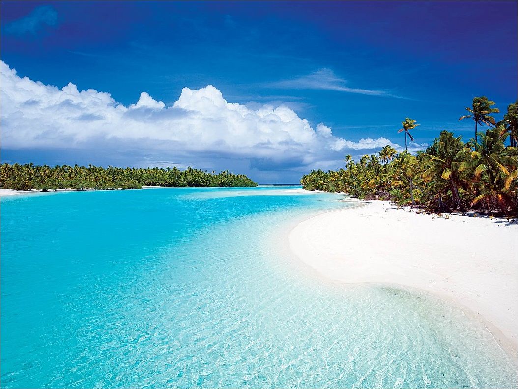 фото приколы