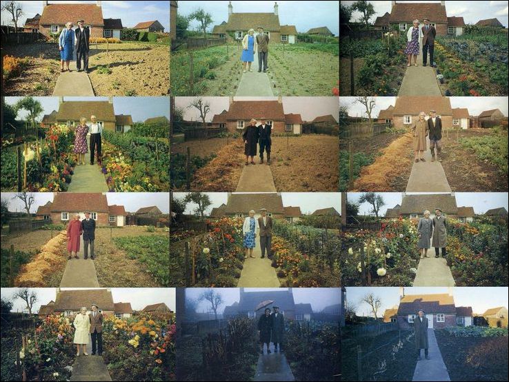 фото приколы