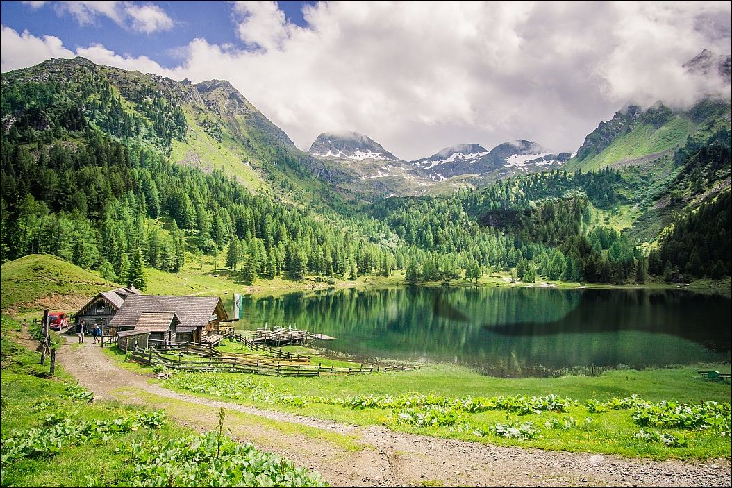 фото приколы