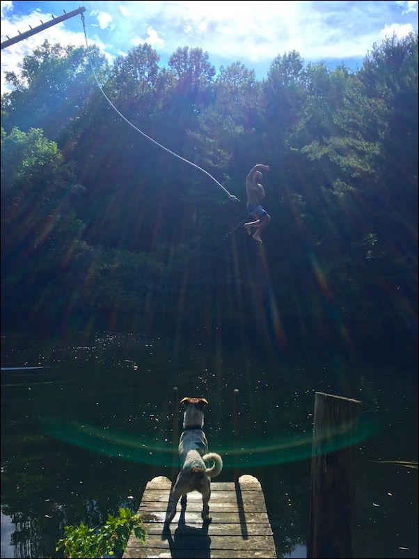 фото приколы