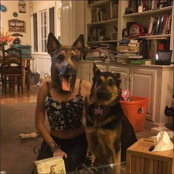 фото приколы