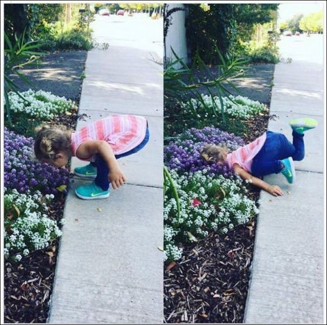 фото приколы