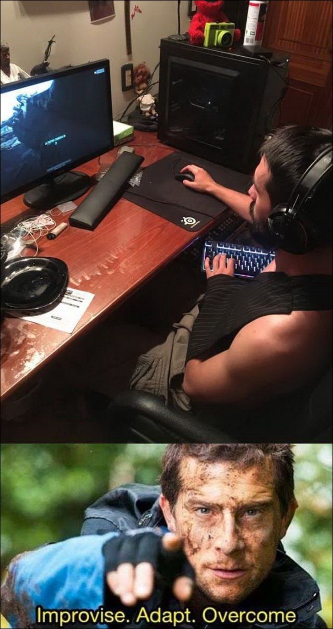 фото приколы