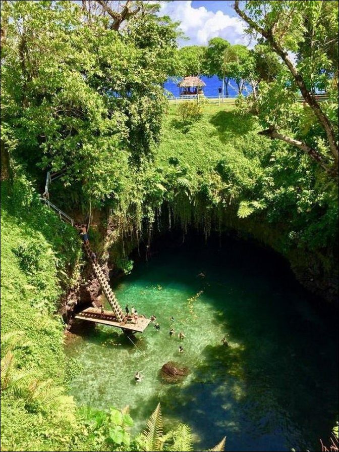 фото приколы