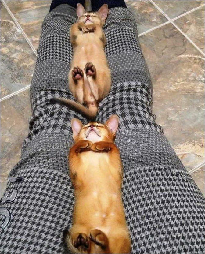 фото приколы