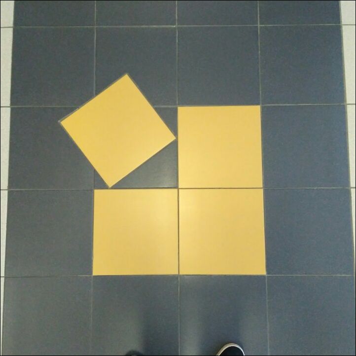 фото приколы