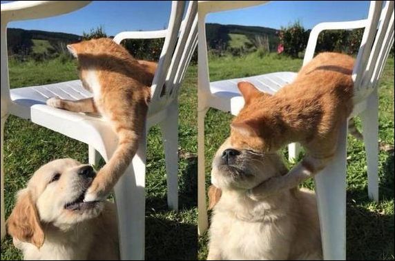 фото приколы