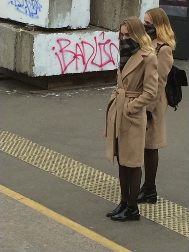 фото приколы