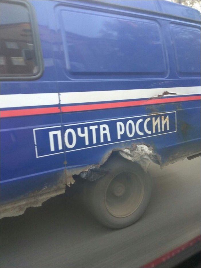 фото приколы