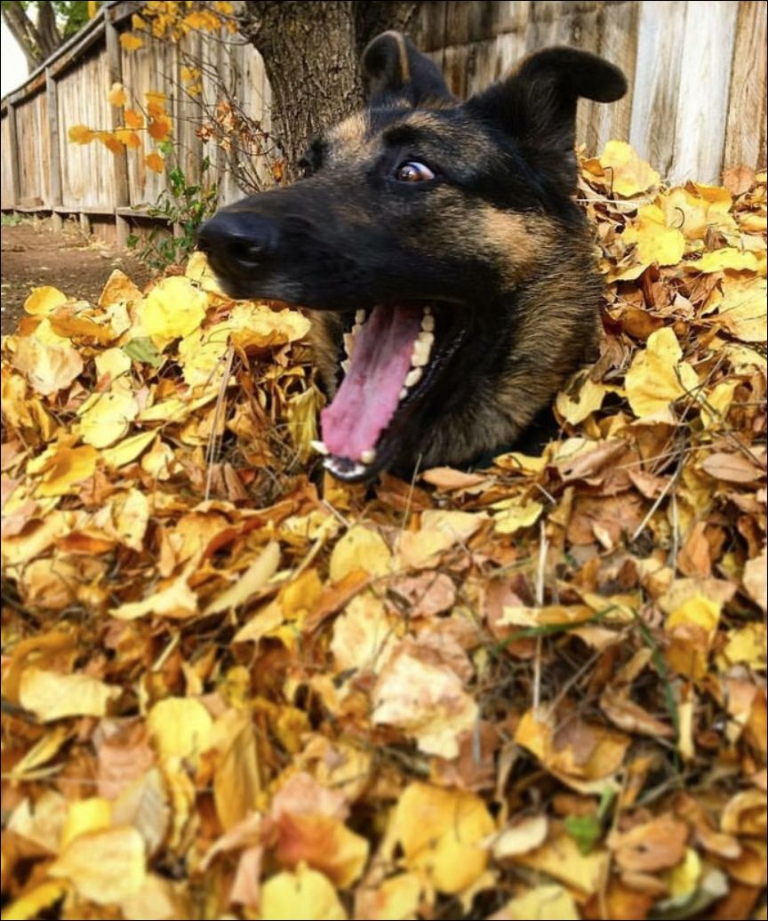 фото приколы