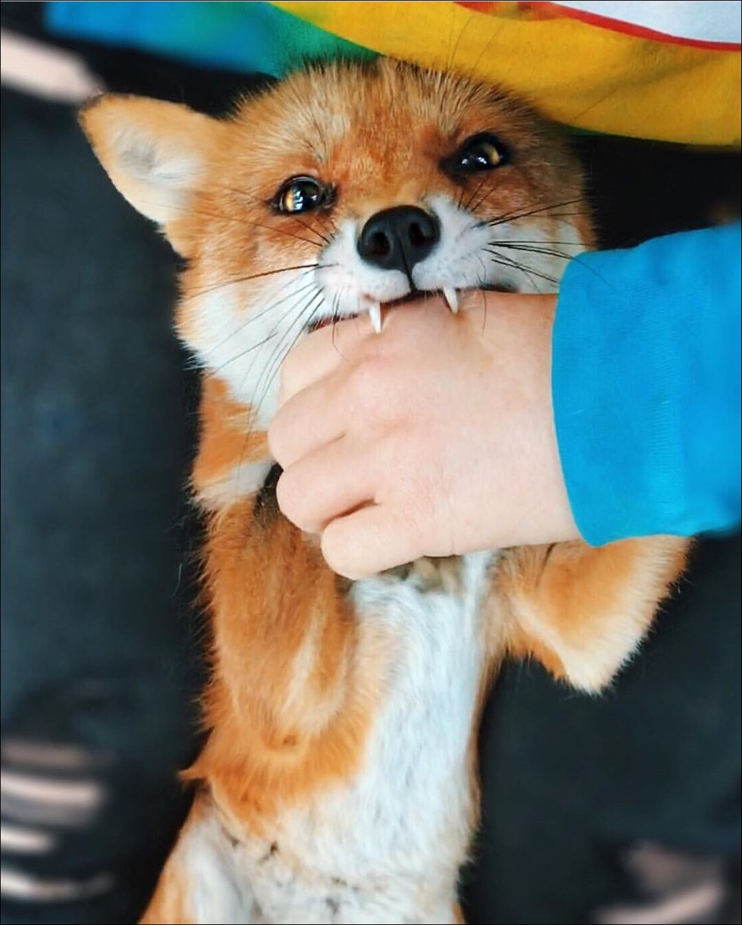 фото приколы