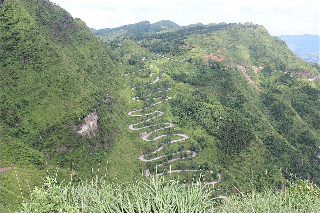 фото приколы