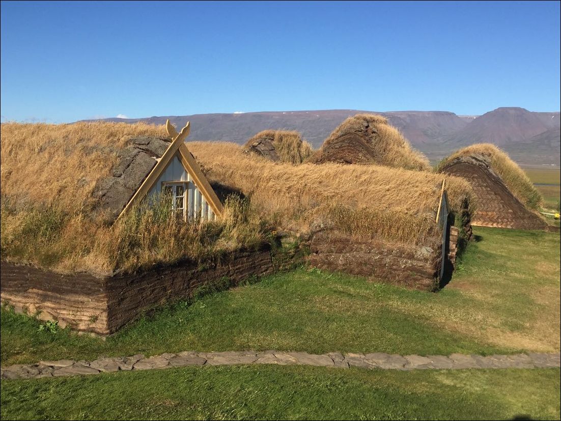 фото приколы