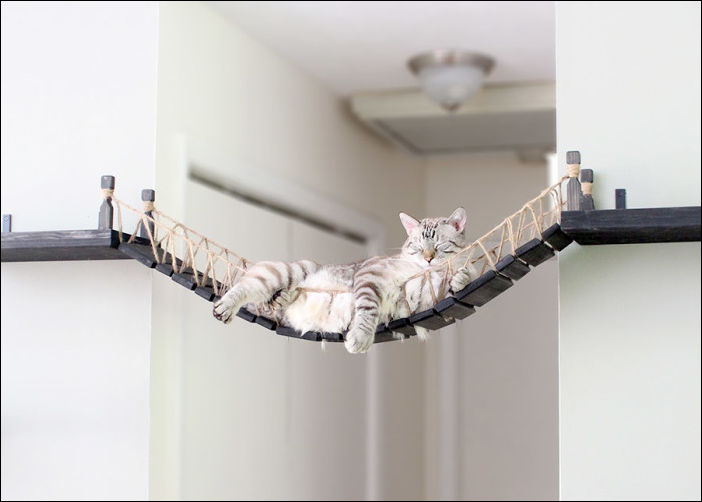 фото приколы