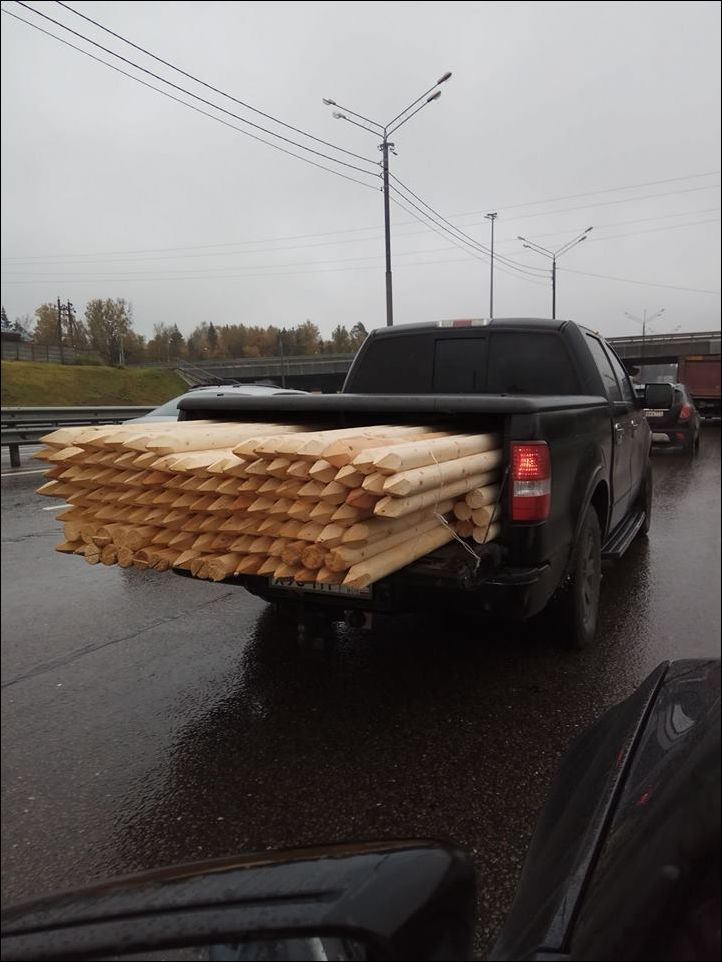 фото приколы