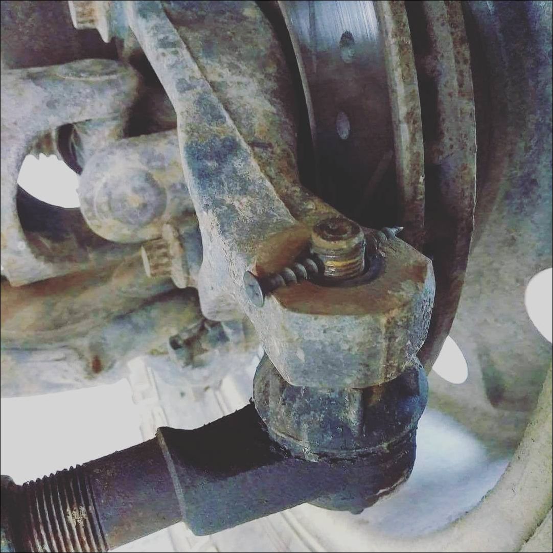 фото приколы