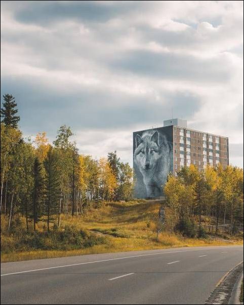 фото приколы