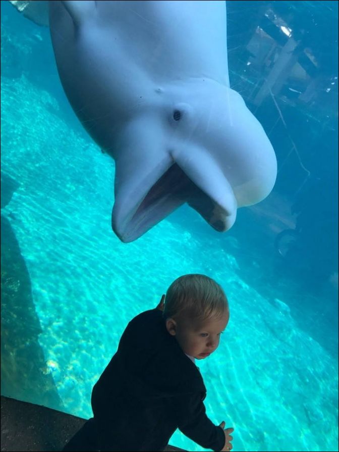 фото приколы