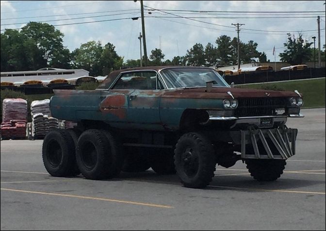 фото приколы