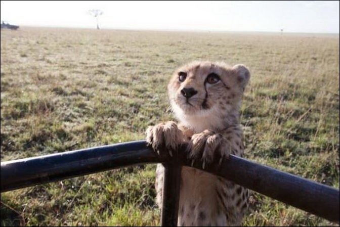 фото приколы